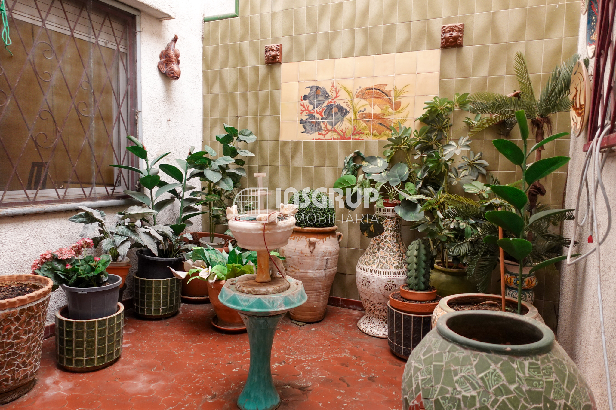 patio con plantas